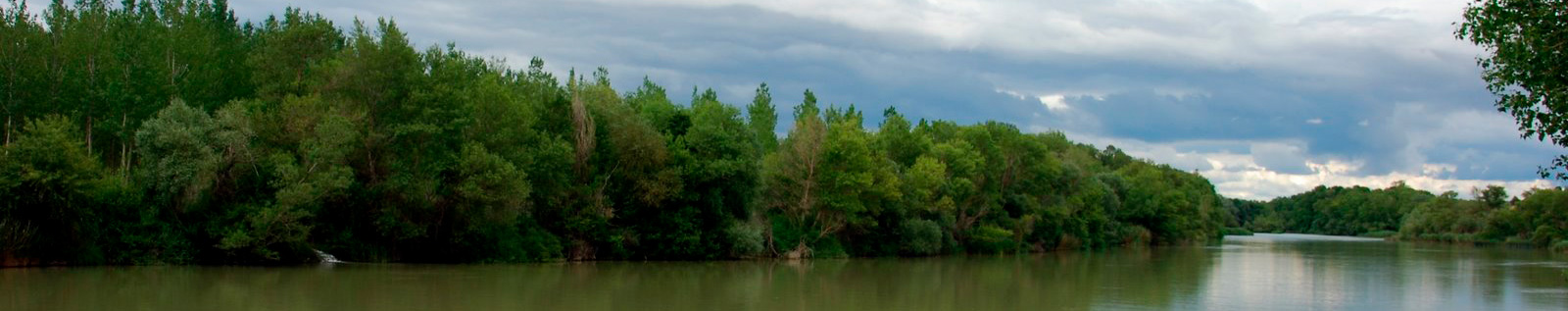 rio-aragon_caparroso-web