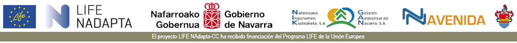 AVENIDA CAPARROSO Logo