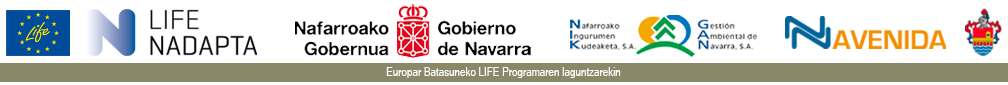 AVENIDA CAPARROSO Logo